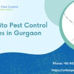 Mosquito Pest Control Services in Gurgaon