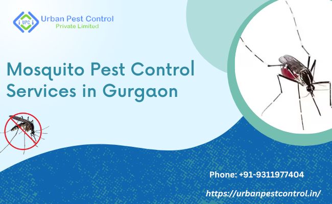 mosquito pest control services gurgaon