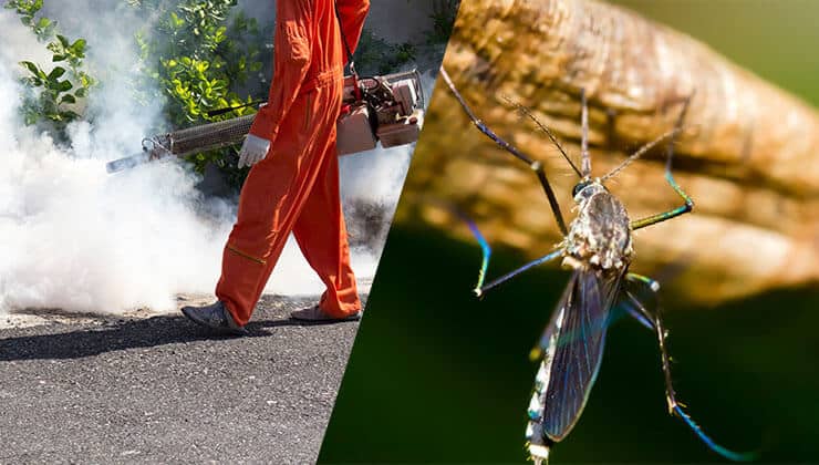 mosquito pest control services